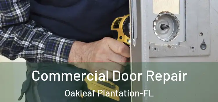 Commercial Door Repair Oakleaf Plantation-FL