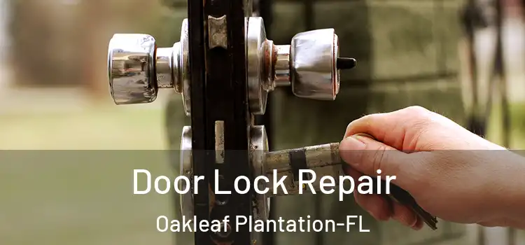 Door Lock Repair Oakleaf Plantation-FL