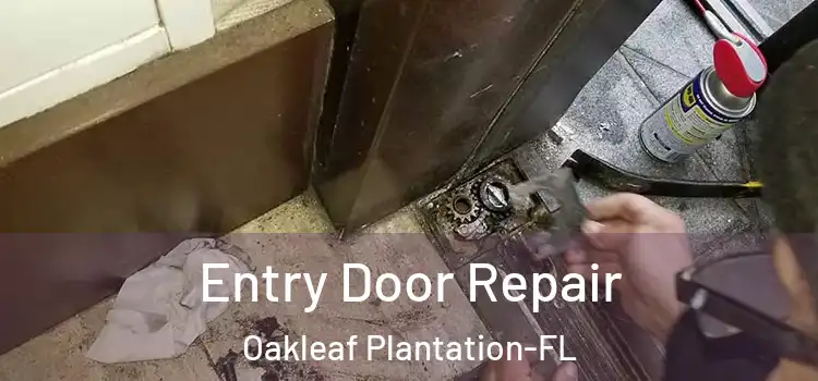 Entry Door Repair Oakleaf Plantation-FL