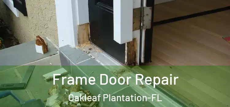 Frame Door Repair Oakleaf Plantation-FL