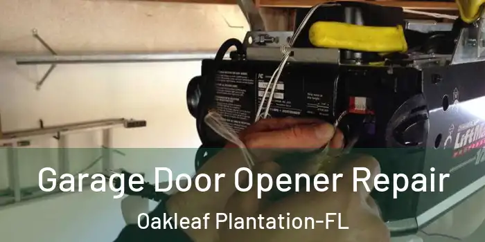 Garage Door Opener Repair Oakleaf Plantation-FL