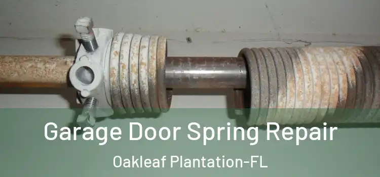 Garage Door Spring Repair Oakleaf Plantation-FL