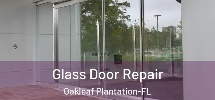 Glass Door Repair Oakleaf Plantation-FL