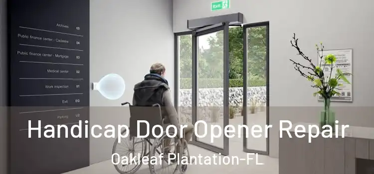 Handicap Door Opener Repair Oakleaf Plantation-FL
