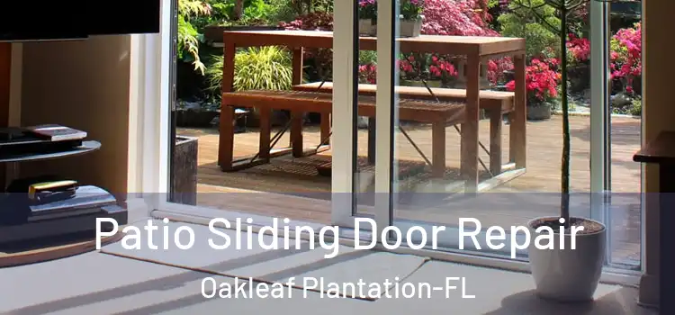 Patio Sliding Door Repair Oakleaf Plantation-FL