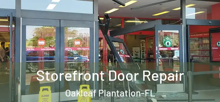 Storefront Door Repair Oakleaf Plantation-FL